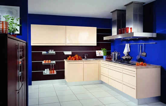 mėlyna spalva virtuvės interjere 8